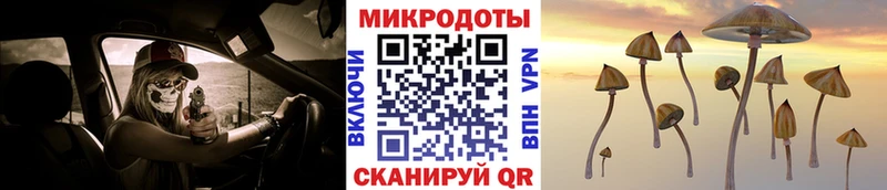 Псилоцибиновые грибы Magic Shrooms  kraken ТОР  Надым 